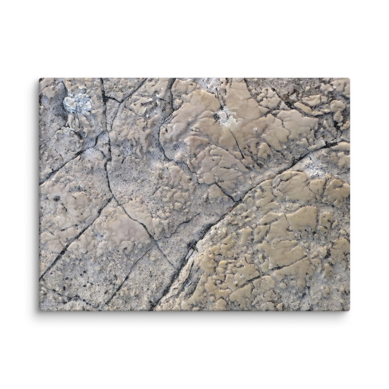 Cracked medieval flagstone in St Paul de Vence, France — canvas print