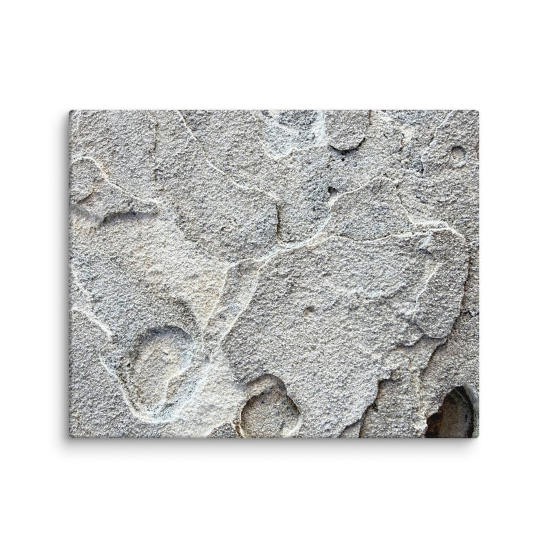 Pitted coral limestone at Lighthouse Point, Eleuthera, Bahamas — canvas print