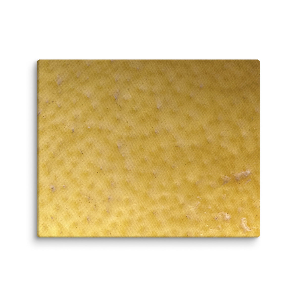 Macro close-up of a lemon in Menton, France — canvas print