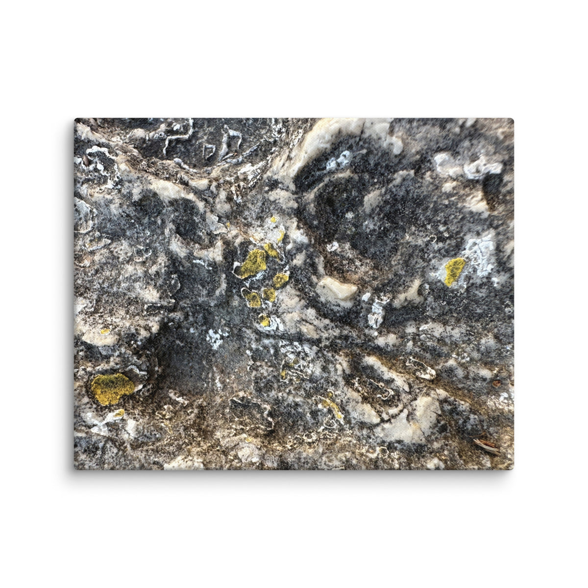 Dark stone with golden lichen in St Paul de Vence, France — canvas print